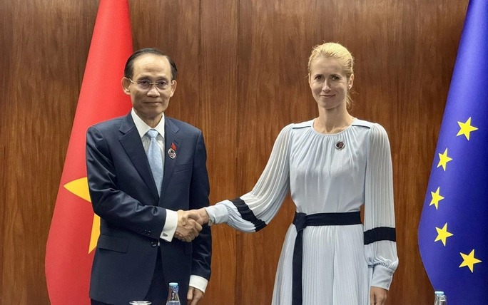 Foreign Minister meets EC Vice President in Manila