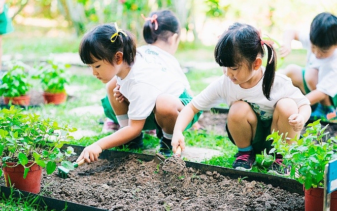 Gov’t adopts action program on environmental protection, climate resilience