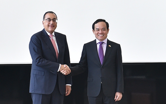 Chùm ảnh: Phó Thủ tướng Trần Lưu Quang thăm chính thức Ai Cập