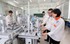Bảo đảm tính đồng bộ, nâng cao hiệu quả quản lý, phát triển kỹ năng nghề