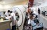 Đề xuất quy định về đánh giá sự hợp lý của việc cung cấp dịch vụ khám, chữa bệnh