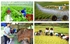 Kiện toàn Ban Chỉ đạo Tổng điều tra nông thôn, nông nghiệp năm 2025 trung ương