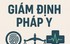 Siết chặt quản lý đối tượng chữa bệnh tâm thần và bảo đảm giám định khách quan, minh bạch