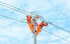 EVNCPC tổ chức lại mô hình hoạt động theo hướng tinh gọn, hiệu quả hơn