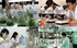 Điều kiện thành lập tổ chức khoa học và công nghệ