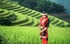 Mùa vàng gọi khách, Hồng Thái tìm hướng phát triển du lịch bốn mùa