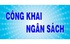 Quy định về công khai ngân sách cấp xã