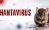 Bộ Y tế thông tin về xét nghiệm virus Hanta