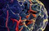 Bộ Y tế thông tin diễn biến phức tạp của dịch bệnh do virus Ebola