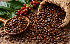 THỊ TRƯỜNG HÀNG HÓA: Tồn kho Arabica rơi xuống sát đáy lịch sử, giá cà phê đi lên