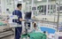 Khuyến cáo người cao tuổi và người có bệnh lý nền khi sốt xuất huyết gia tăng