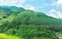 Thành lập Hội đồng thẩm định điều chỉnh Quy hoạch lâm nghiệp tầm nhìn đến năm 2050
