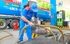 Đề xuất quy chuẩn trang thiết bị trữ, phân phối xăng E10 tại cửa hàng xăng dầu