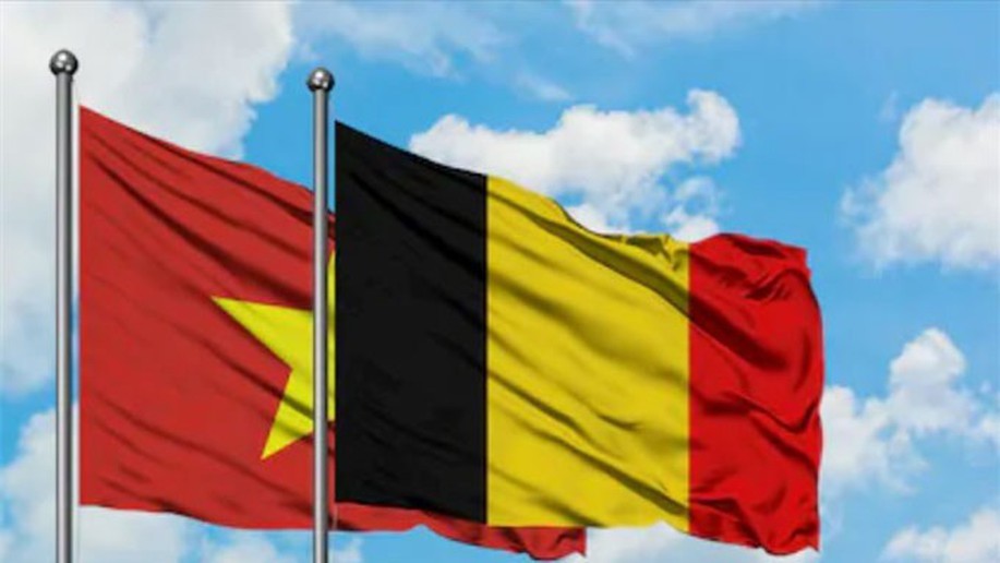 Việt Nam - Bỉ: Mối Quan Hệ Song Phương Nồng Ấm