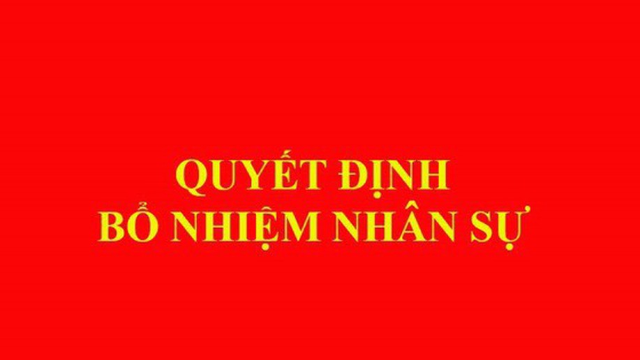 Bổ nhiệm Phó Trưởng ban chuyên trách Ban Chỉ đạo Đổi mới và Phát triển doanh nghiệp