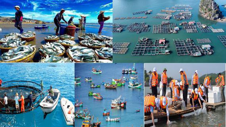 Bảo vệ và phát triển nguồn lợi thuỷ sản: Xanh – bền vững