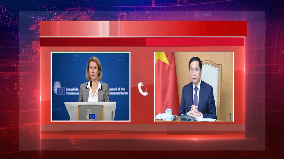 Sớm nâng cấp quan hệ Việt Nam - EU lên Đối tác chiến lược toàn diện